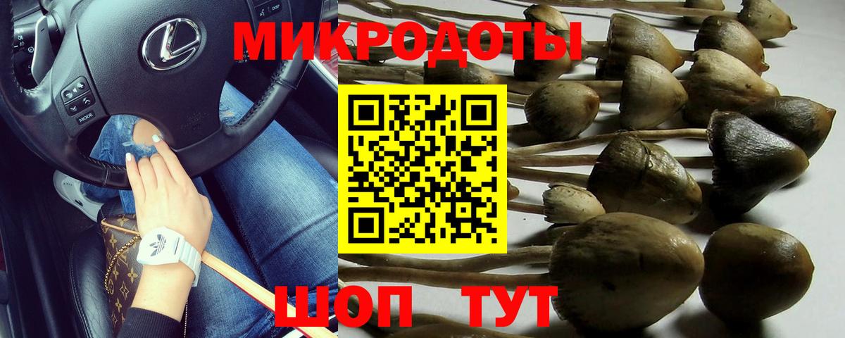 Галлюциногенные грибы Psilocybine cubensis Егорьевск