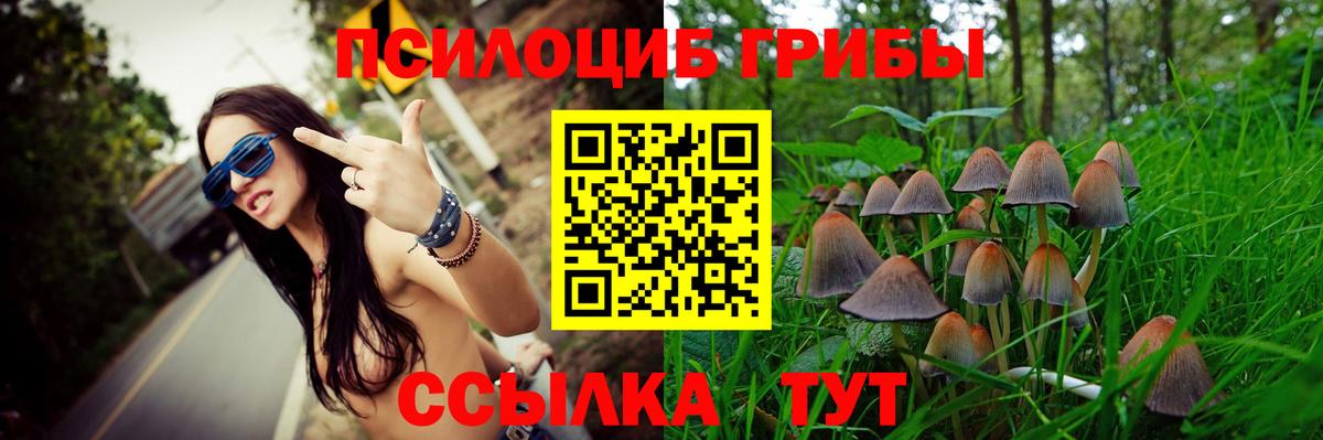 Егорьевск  Псилоцибиновые грибы мухоморы  Вход с VPN 